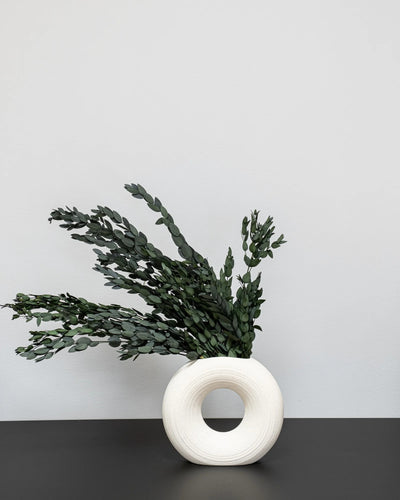 Närbild på detaljerna i Eucalyptus Parvifolia