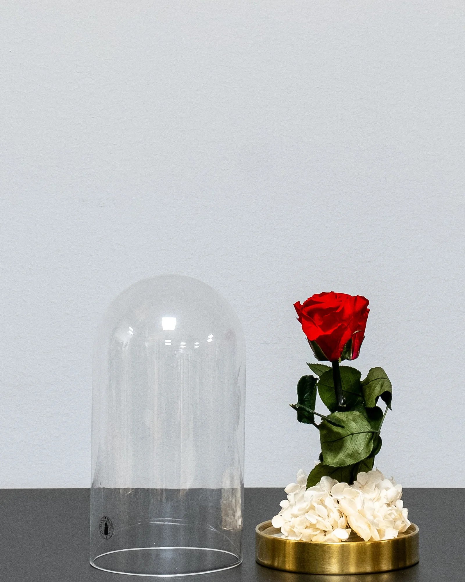 Nahaufnahme konservierter Rosen in der Glaskuppel mit Infinity-Rosen und Hortensie in Rosa