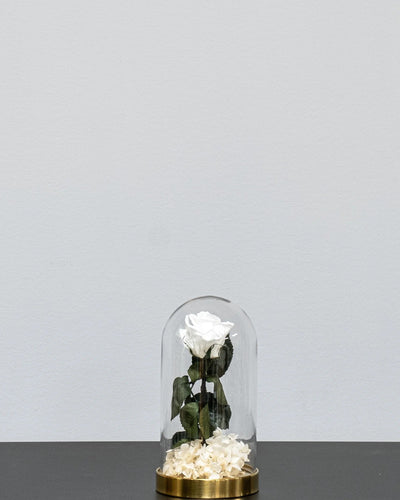 Glaskuppel mit Infinity-Rosen und Hortensie als romantisches Geschenk und Wohndekoration