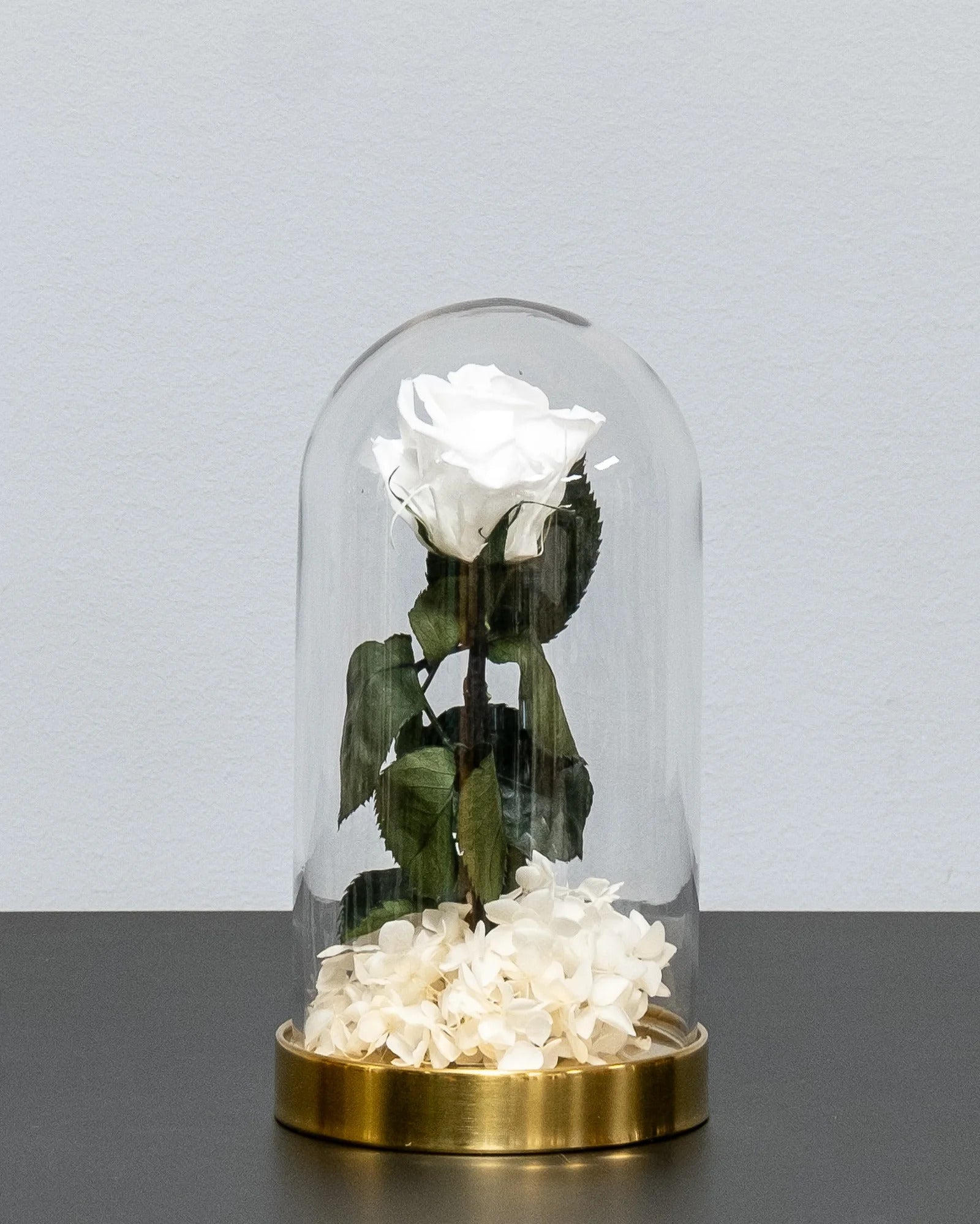Produktansicht der Glaskuppel mit Infinity-Rosen und Hortensie mit haltbaren Rosen