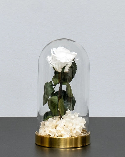 Produktansicht der Glaskuppel mit Infinity-Rosen und Hortensie mit haltbaren Rosen