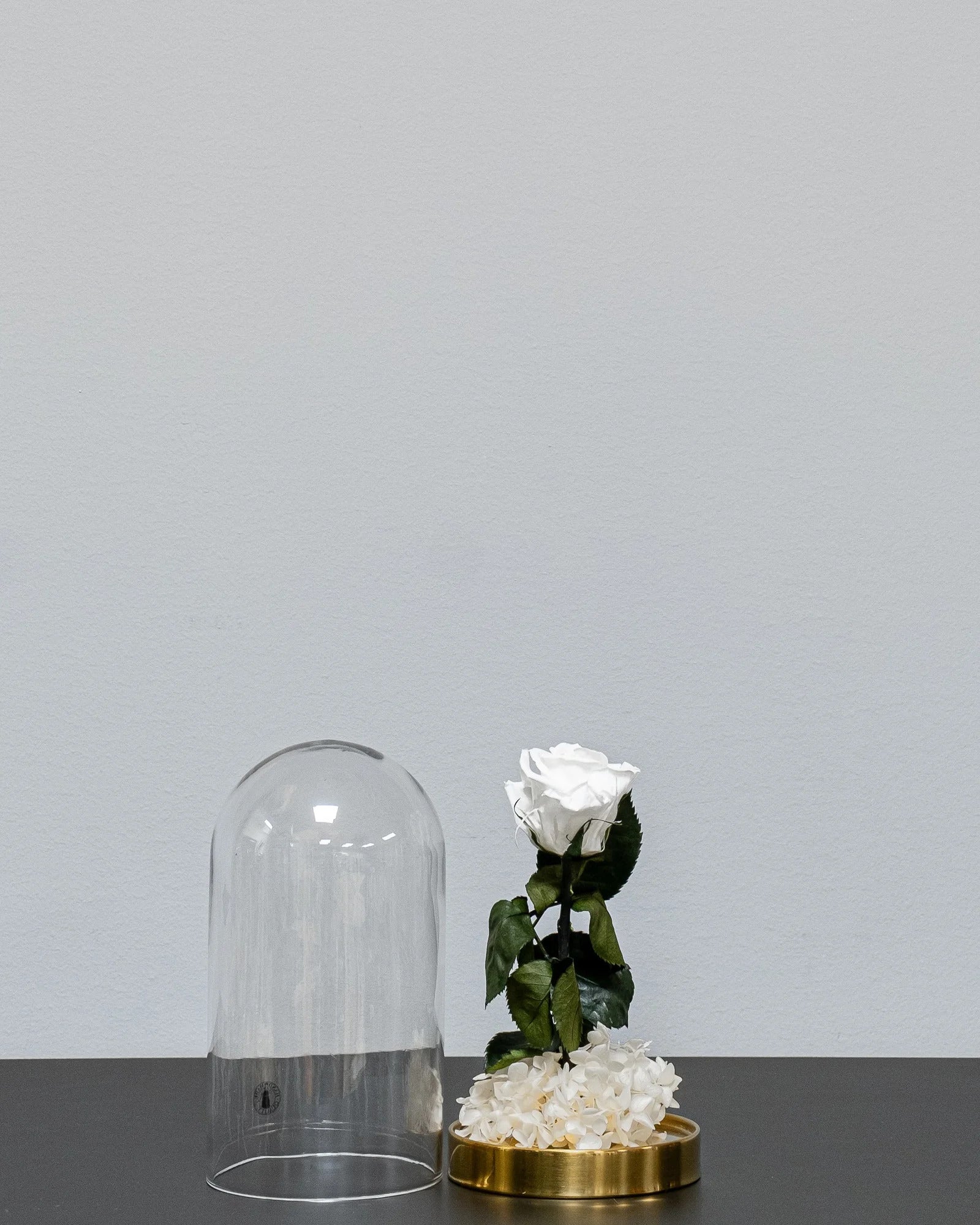 Detailbild der Glaskuppel mit Infinity-Rosen und Hortensie