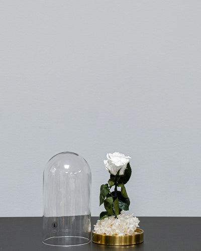 Detailbild der Glaskuppel mit Infinity-Rosen und Hortensie