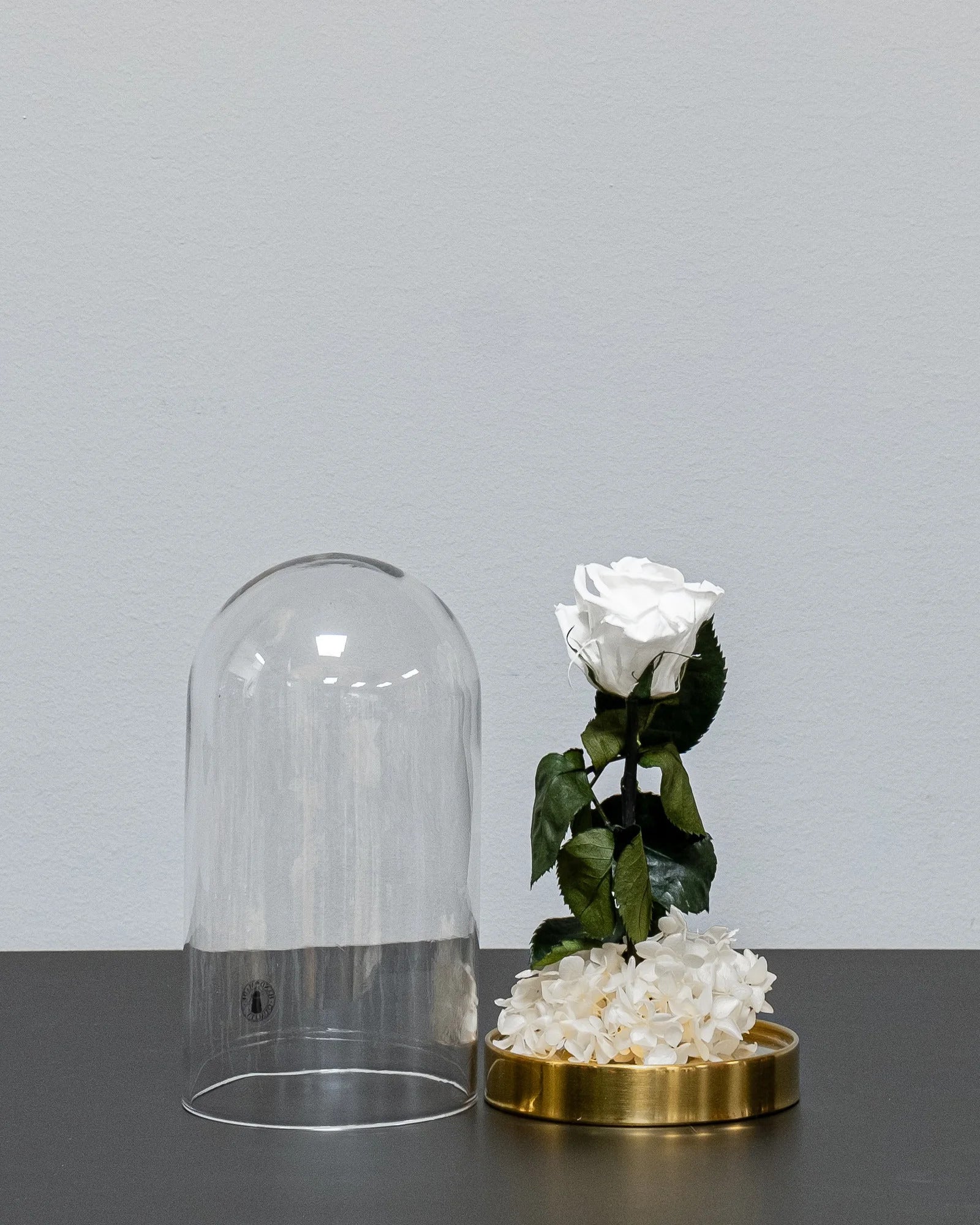 Konservierte Rosen in der Glaskuppel mit Infinity-Rosen und Hortensie von Forever Flora