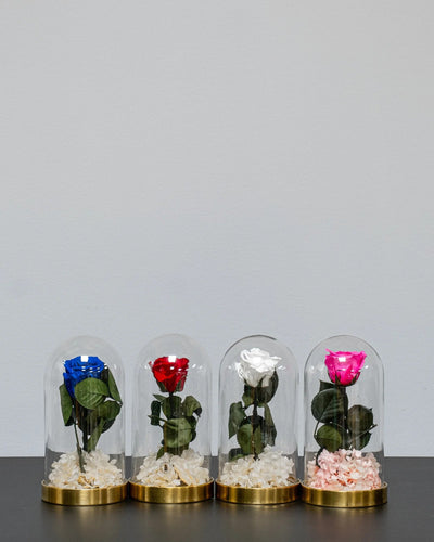 Glaskuppel mit Infinity-Rosen und Hortensie von Forever Flora in Rot