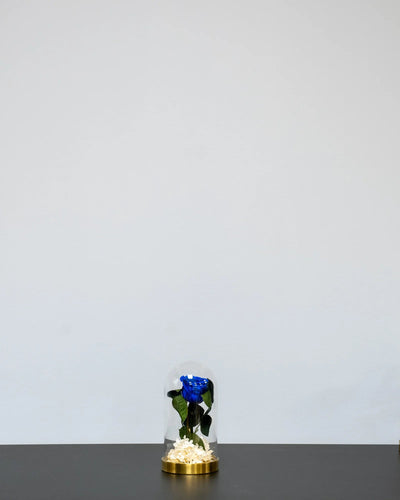 Dekorative Glaskuppel mit Infinity-Rosen und Hortensie für den Innenbereich