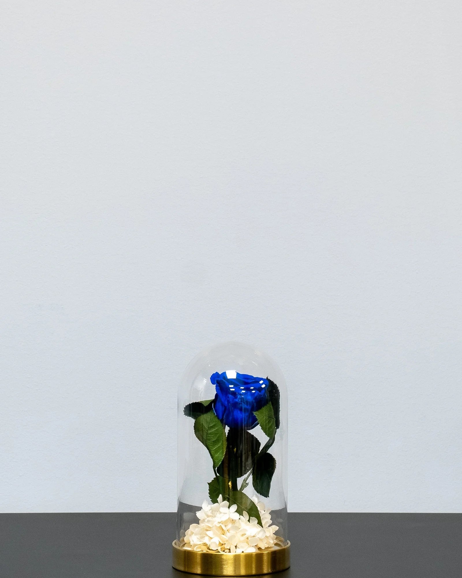 Glaskuppel mit Infinity-Rosen und Hortensie mit konservierten Rosen im Geschenkformat