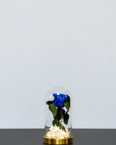 Glaskuppel mit Infinity-Rosen und Hortensie mit konservierten Rosen im Geschenkformat