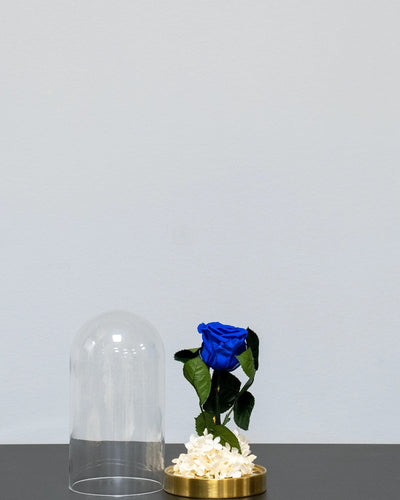 Details der Rosen in der Glaskuppel mit Infinity-Rosen und Hortensie