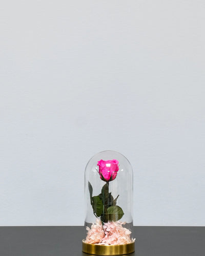 Elegant presentation av Roskupa med Evighetsrosor och Hortensia