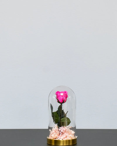 Elegante Präsentation der Glaskuppel mit Infinity-Rosen und Hortensie