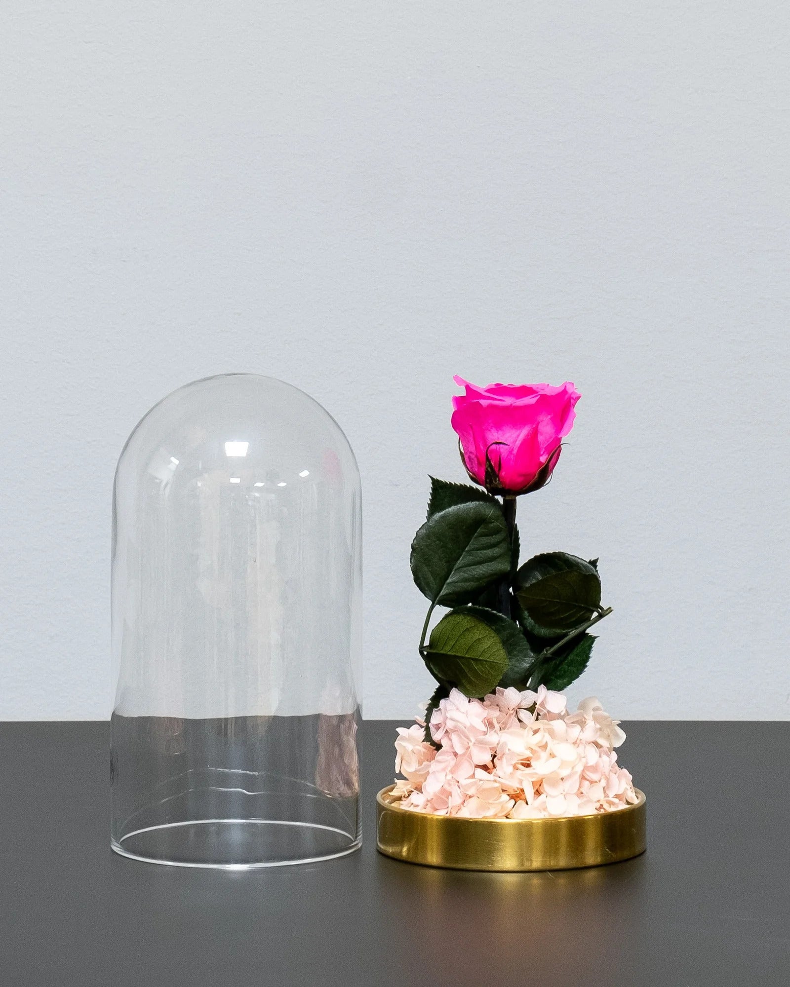 Glaskuppel mit Infinity-Rosen und Hortensie als dekoratives Produkt von Forever Flora