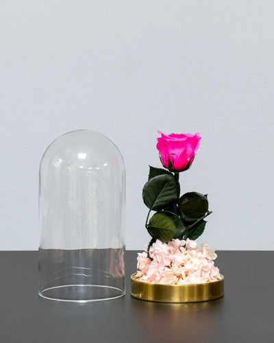 Glaskuppel mit Infinity-Rosen und Hortensie als dekoratives Produkt von Forever Flora