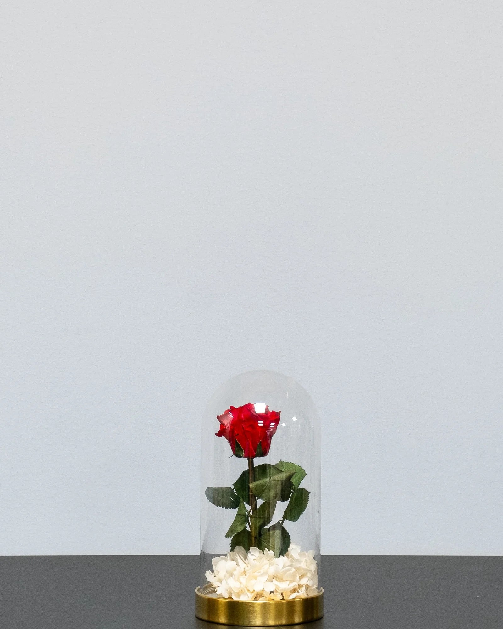 Glaskuppel mit Infinity-Rosen und Hortensie für dekoratives Styling im Innenbereich in Weiß
