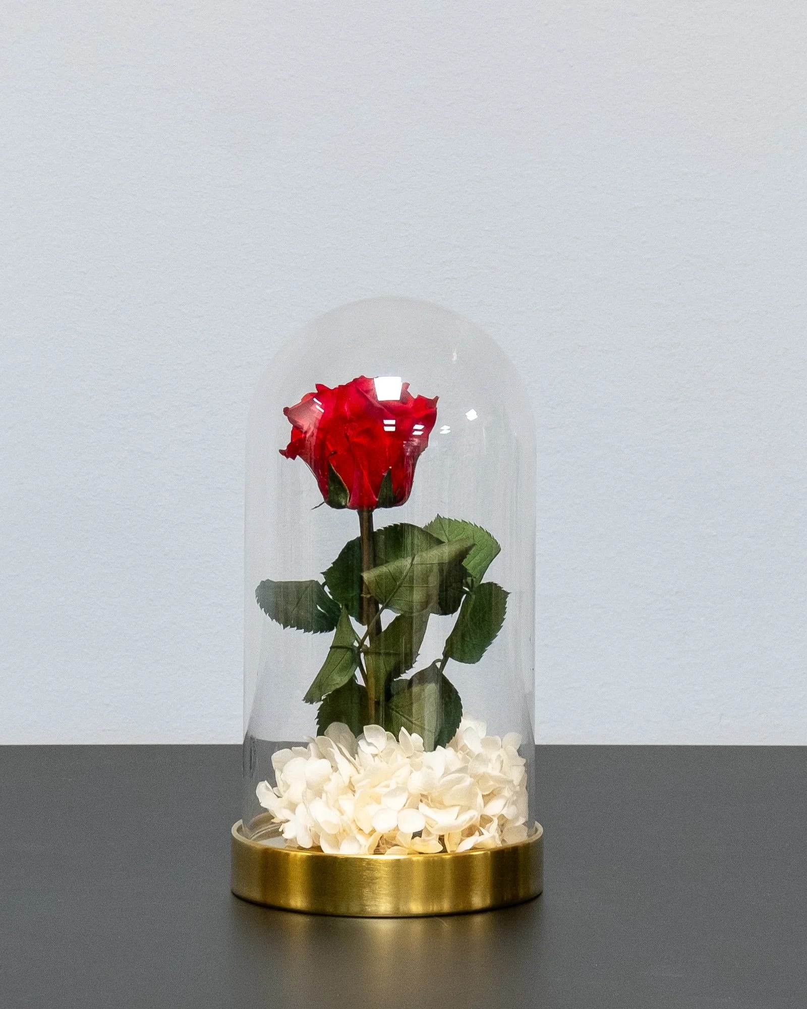 Glaskuppel mit Infinity-Rosen und Hortensie mit konservierten Rosen in Dunkelblau