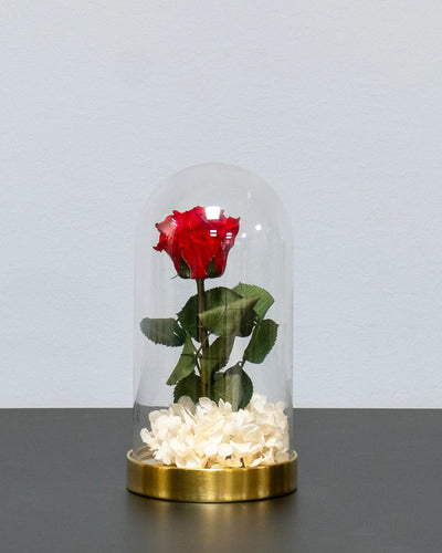 Glaskuppel mit Infinity-Rosen und Hortensie mit konservierten Rosen in Dunkelblau