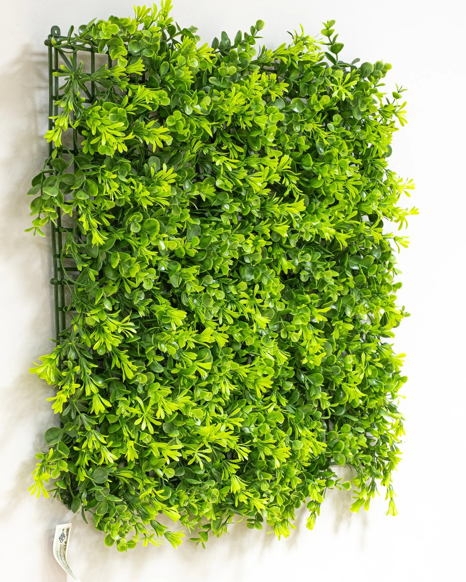 Konstgjord växtvägg Eukalyptus – 50 × 50 cm UV som dekorativ produkt för hem och inredning