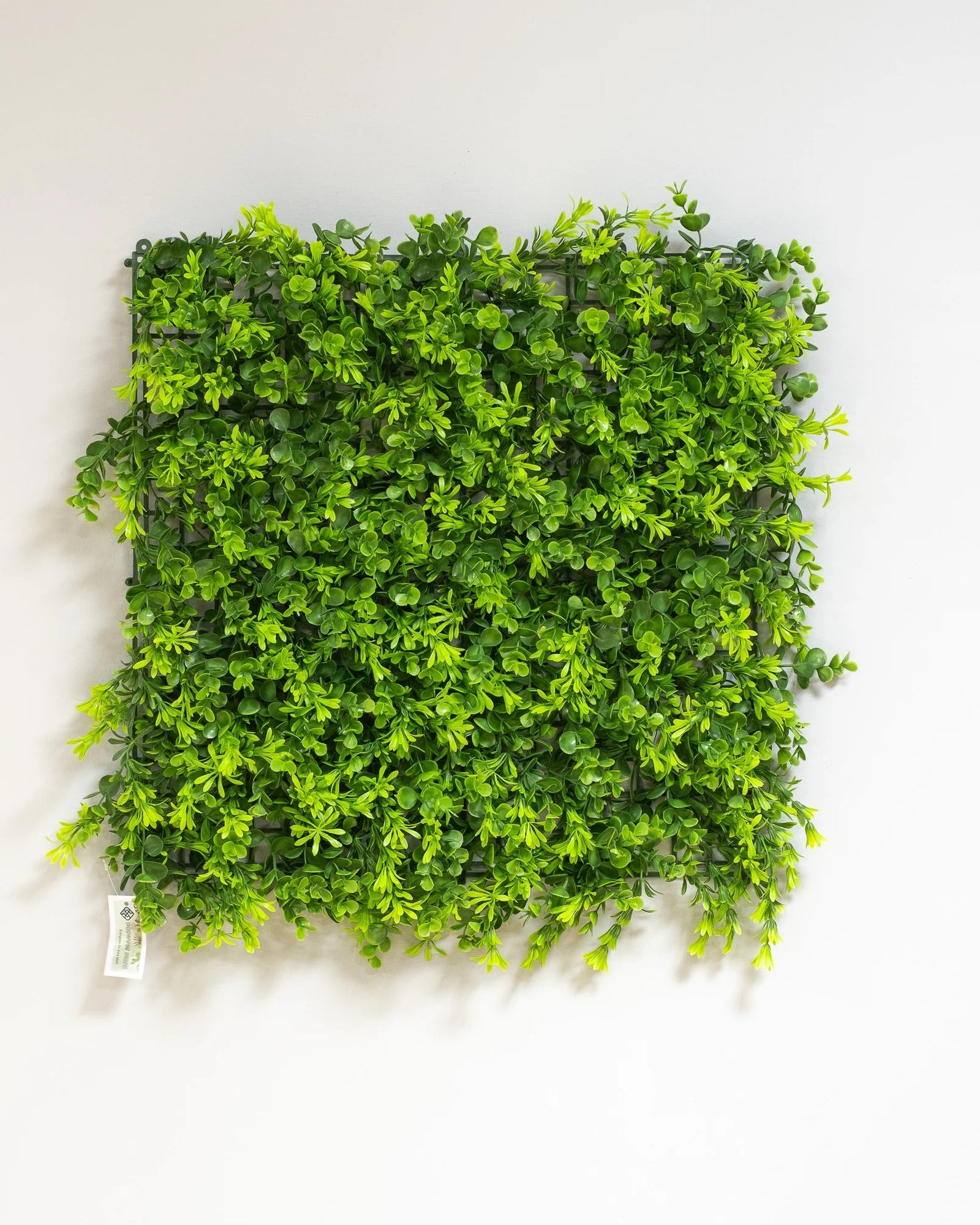 Konstgjord växtvägg Eukalyptus – 50 × 50 cm UV – konstgjord växtvägg från Forever Flora