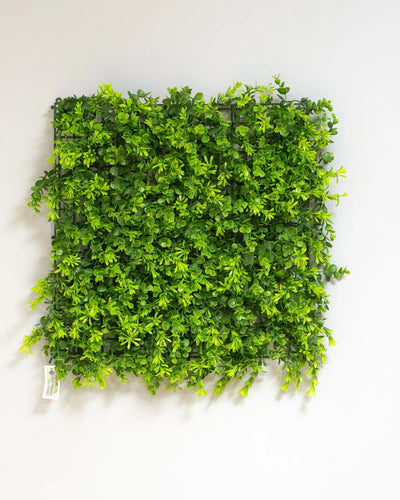 Konstgjord växtvägg Eukalyptus – 50 × 50 cm UV – konstgjord växtvägg från Forever Flora