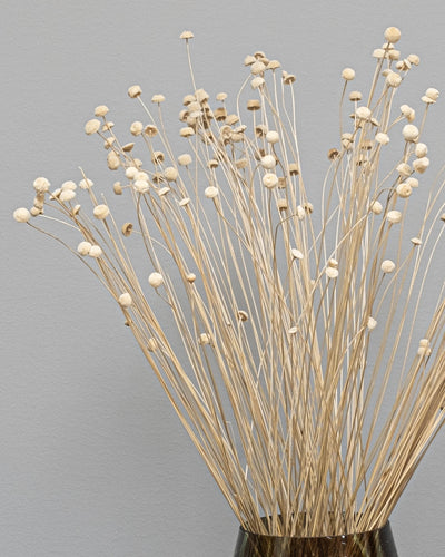 Botao för buketter och blomsterarrangemang