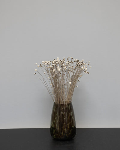 Botao – torkade blommor 40–50 cm