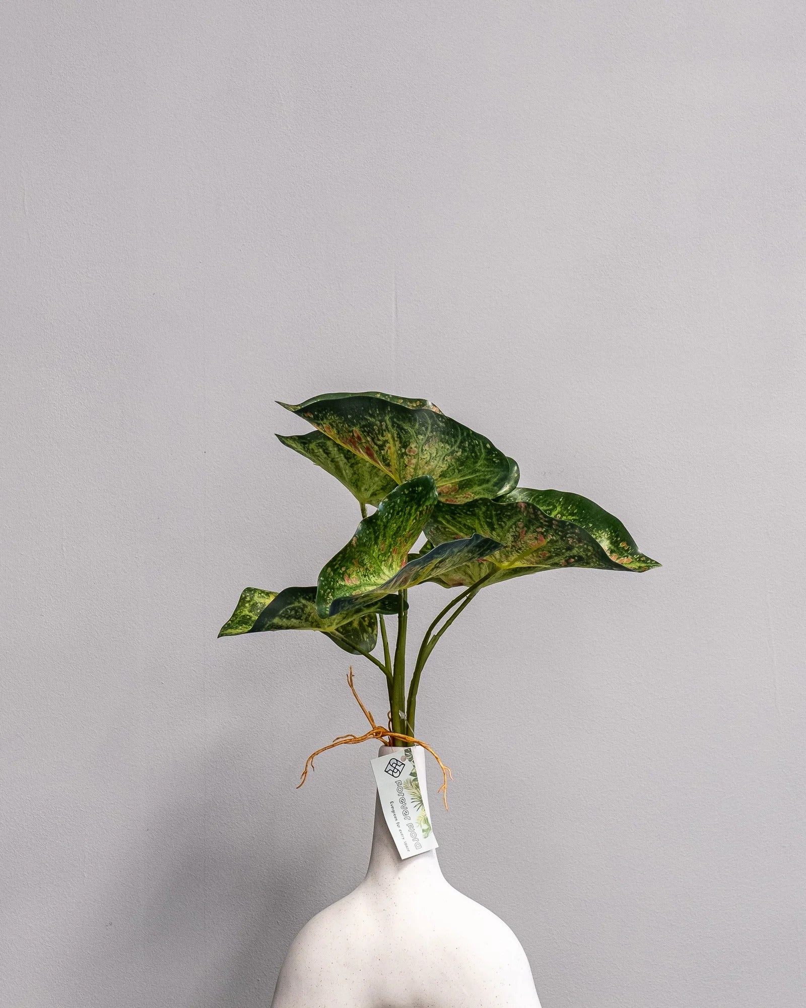 Konstgjord Caladium bladslinga – 30 cm som dekorativ produkt för hem och inredning