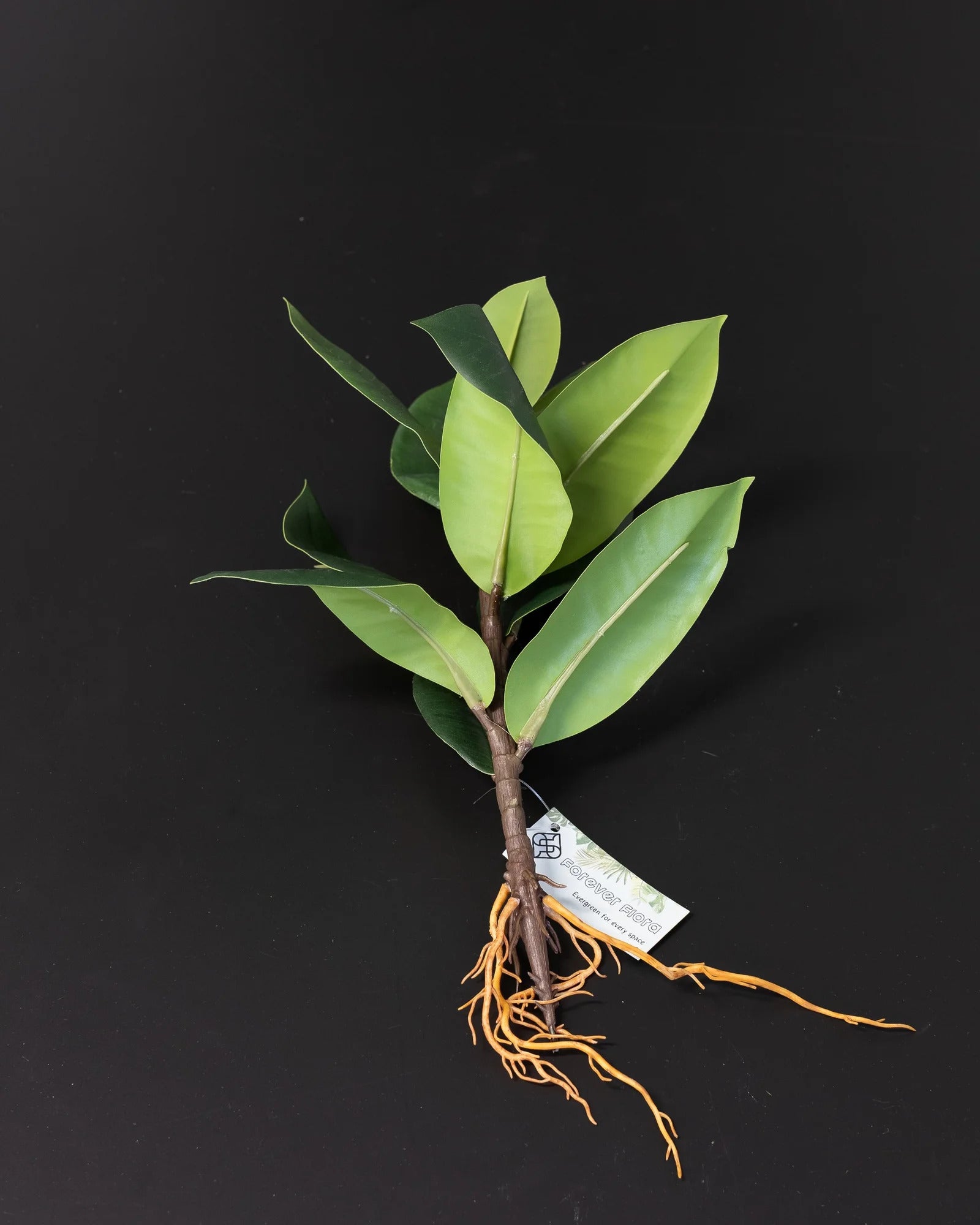Närbild på detaljerna i Konstgjord Ficus Obliqua bladdekoration – 35 × 23 cm