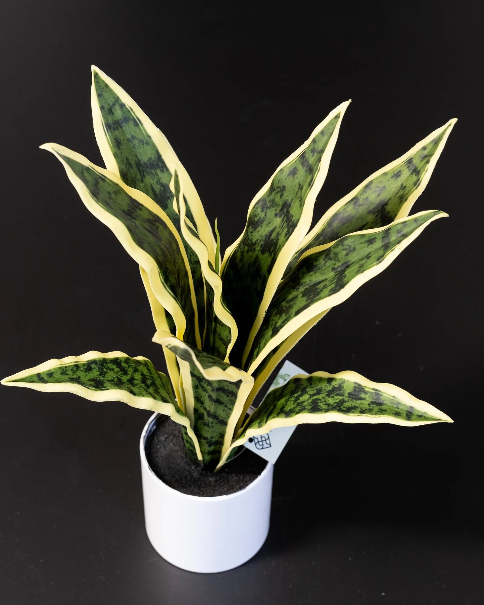 Närbild på detaljerna i Konstgjord Sansevieria i keramikkruka – 40 cm