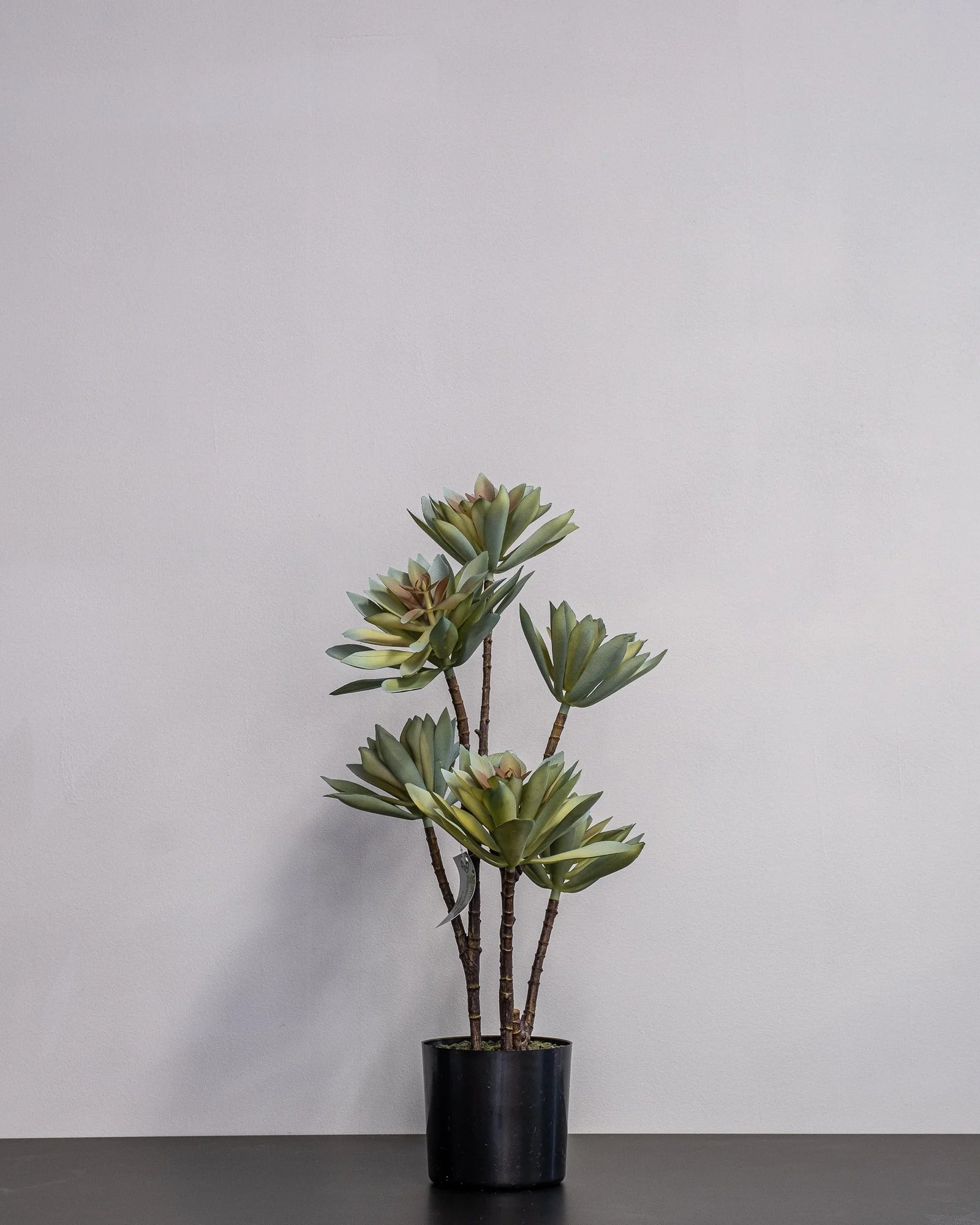 Konstgjord lotus krukväxt i ljusgrön melaminkruka – 55 cm – konstgjord växt från Forever Flora