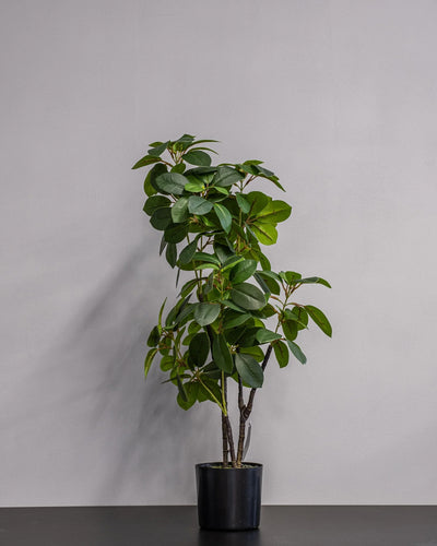 Närbild på detaljerna i Konstgjord Ficus krukväxt i melaminkruka – 70 cm