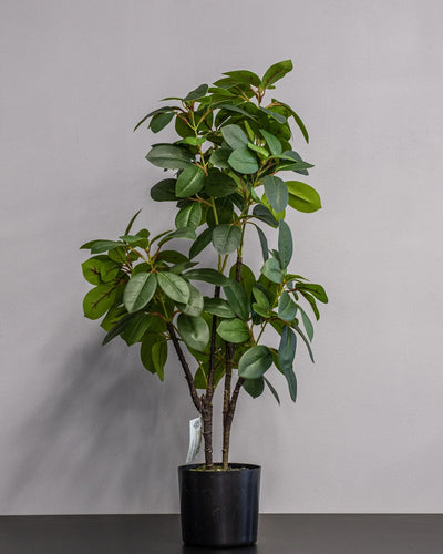 Konstgjord Ficus krukväxt i melaminkruka – 70 cm som dekorativ produkt för hem och inredning