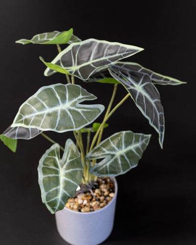 Alocasia som konstgjord växtdetalj för inomhusmiljö
