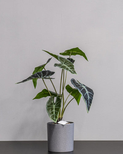 Konstgjord Alocasia krukväxt – 45 cm som dekorativ produkt för hem och inredning