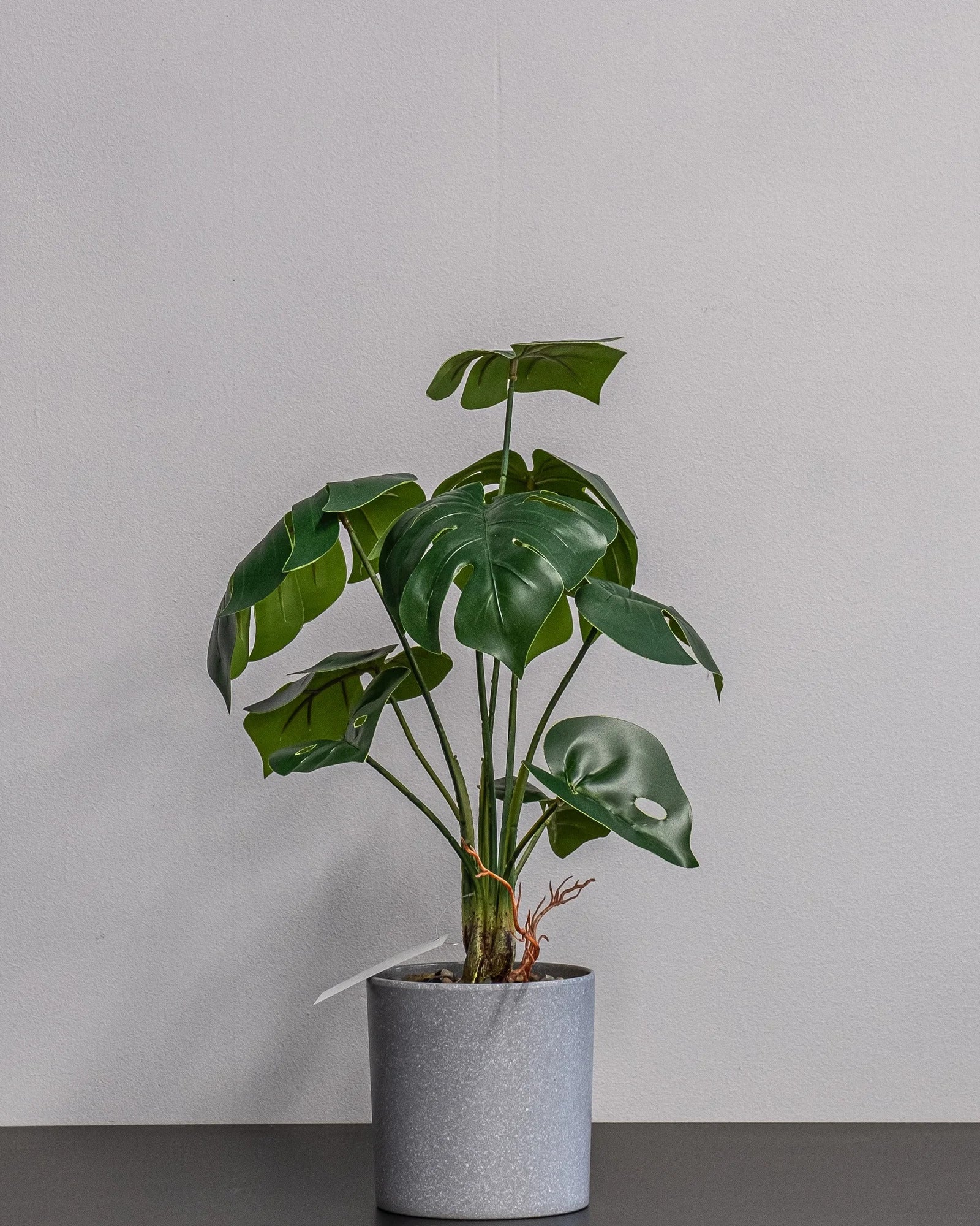 Närbild på detaljerna i Konstgjord Monstera krukväxt i plastkruka – 45 cm