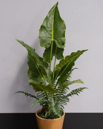 Alocasia som konstgjord växtdetalj för inomhusmiljö