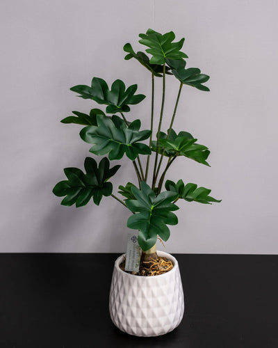 Philodendron som konstgjord växtdetalj för inomhusmiljö