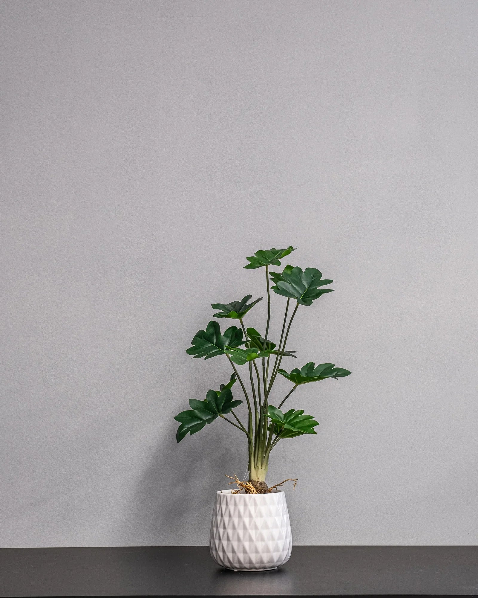 Närbild på detaljerna i Konstgjord Philodendron krukväxt med keramikkruka – 60 cm