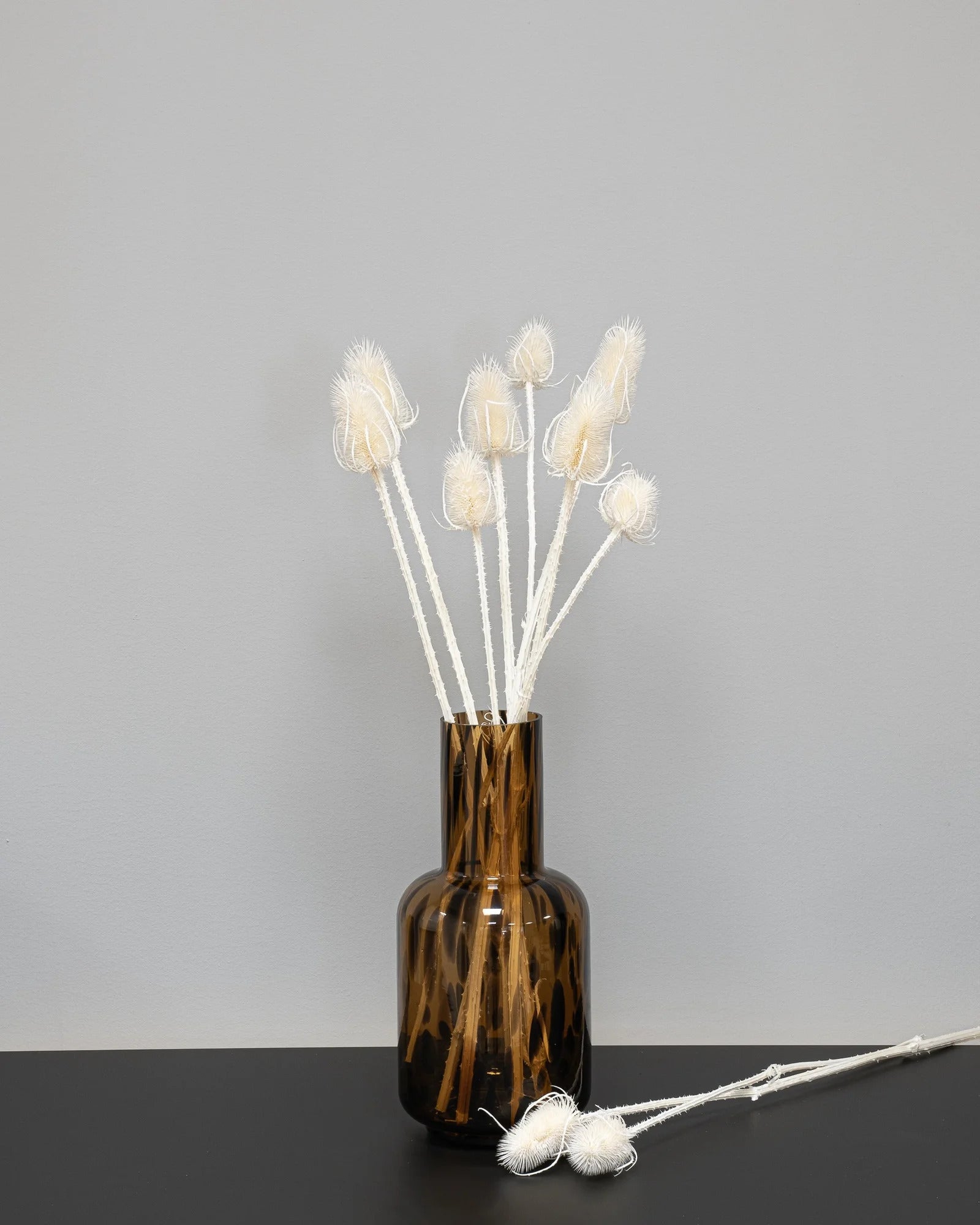 Detaljbild av Cardoon Thistle