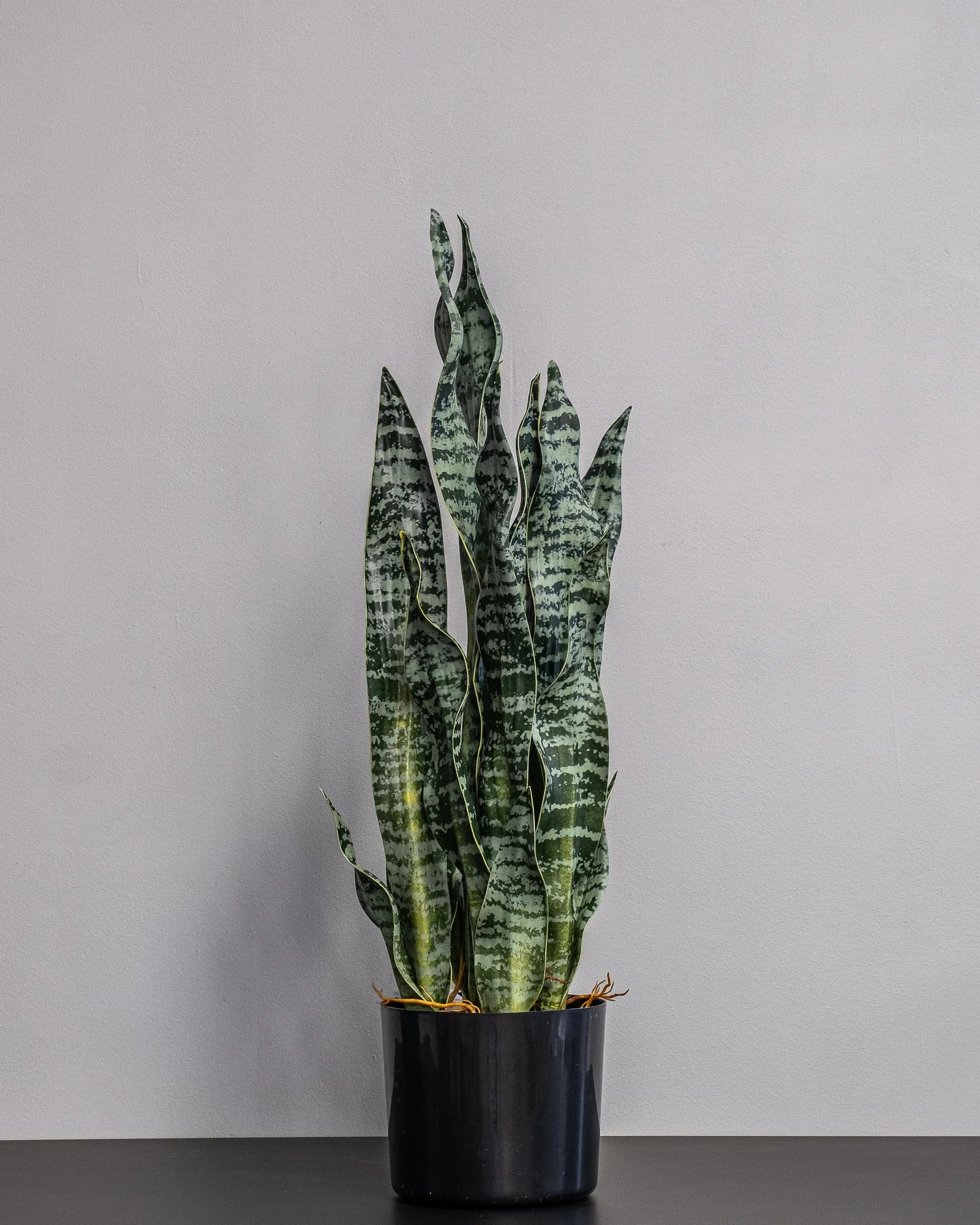 Konstgjord Sansevieria zeylanica i plastkruka – 60 cm som dekorativ produkt för hem och inredning