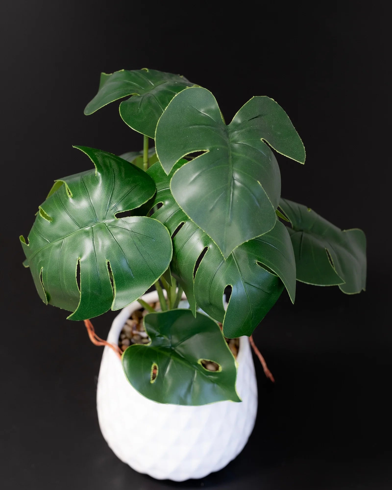 Detaljbild av Konstgjord Monstera krukväxt med keramikkruka – 45 cm