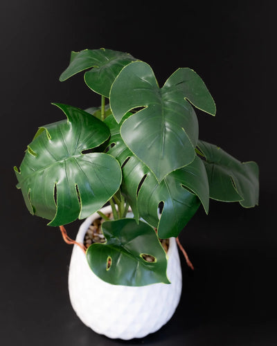 Detaljbild av Konstgjord Monstera krukväxt med keramikkruka – 45 cm