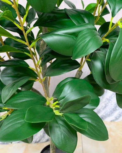 Ficus som konstgjord växtdetalj för inomhusmiljö