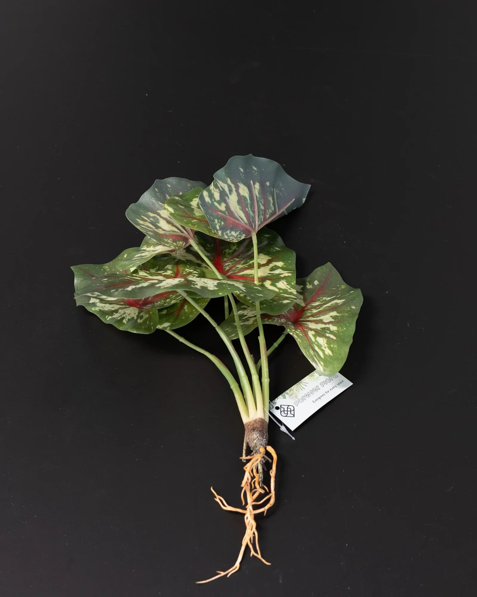 Närbild på detaljerna i Konstgjord Caladium Thai bladslinga – 30 cm