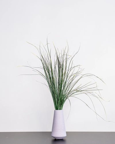 Björnlilja (Bear Grass) – konserverad växt från Forever Flora