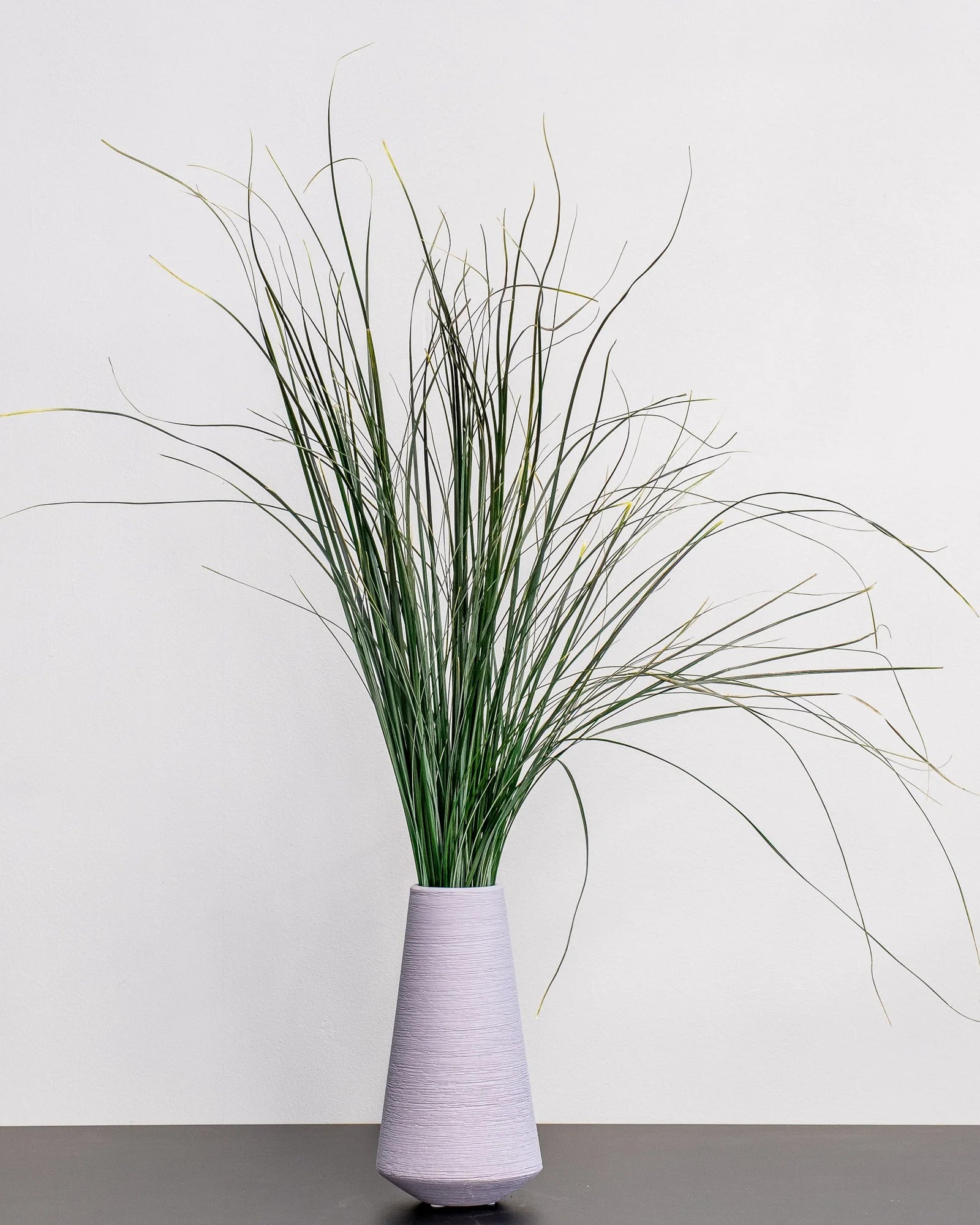 Björnlilja (Bear Grass) som grön dekoration för hem och inredning