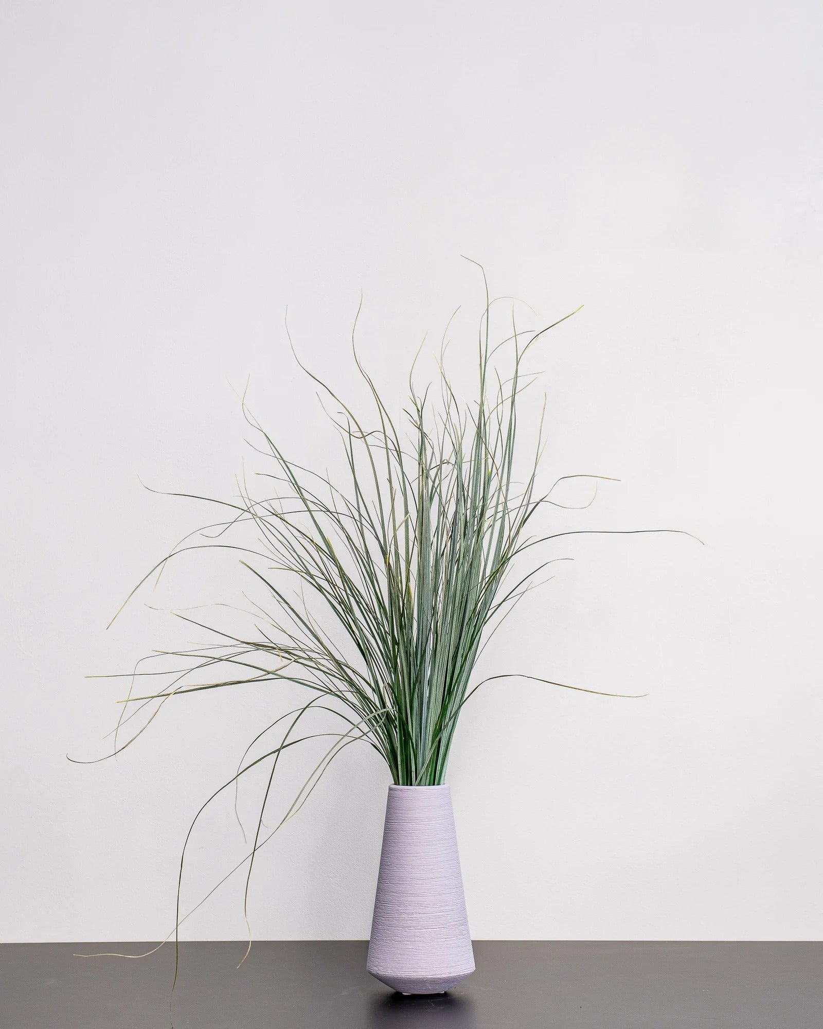 Närbild på detaljerna i Björnlilja (Bear Grass)