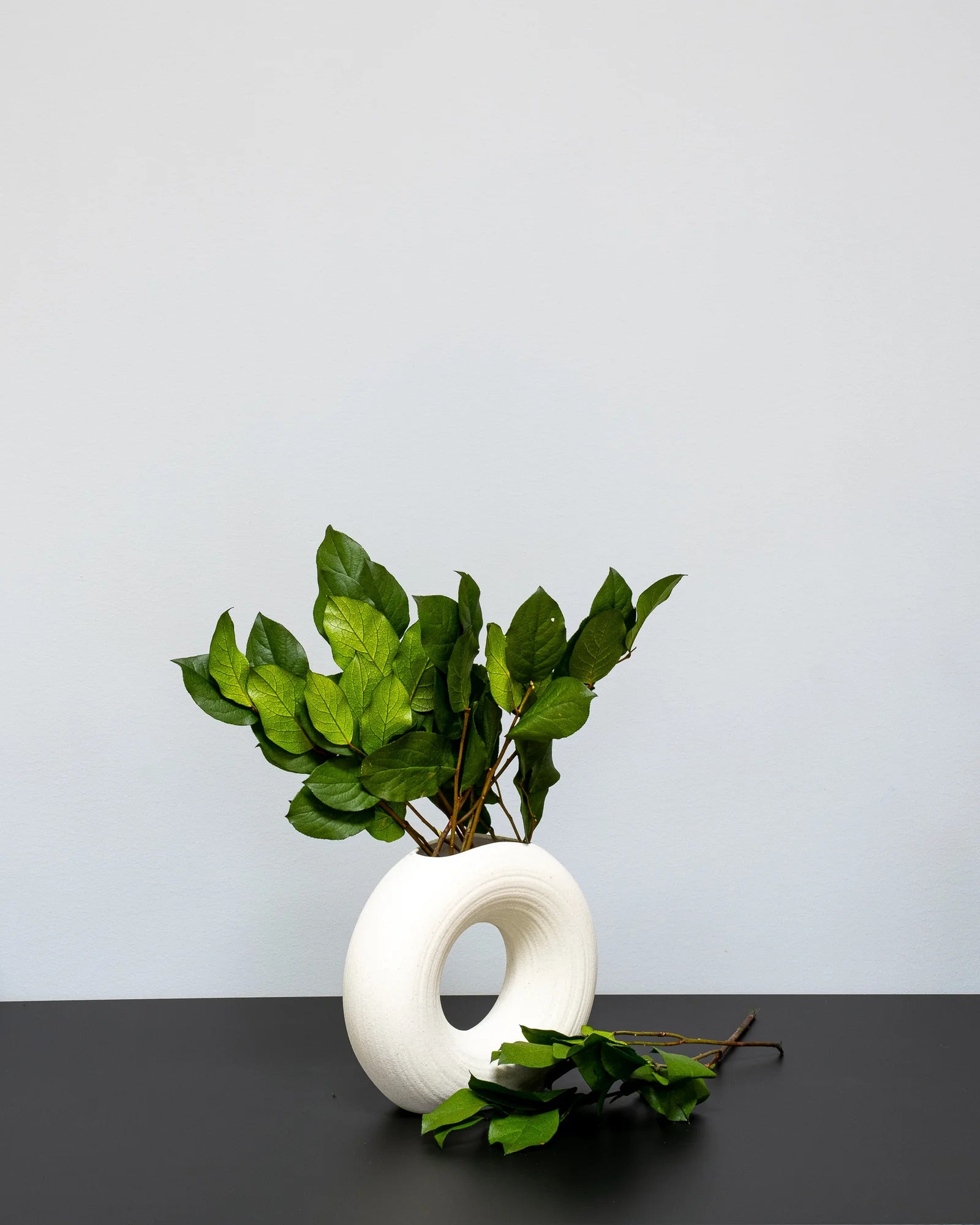 salal-12
