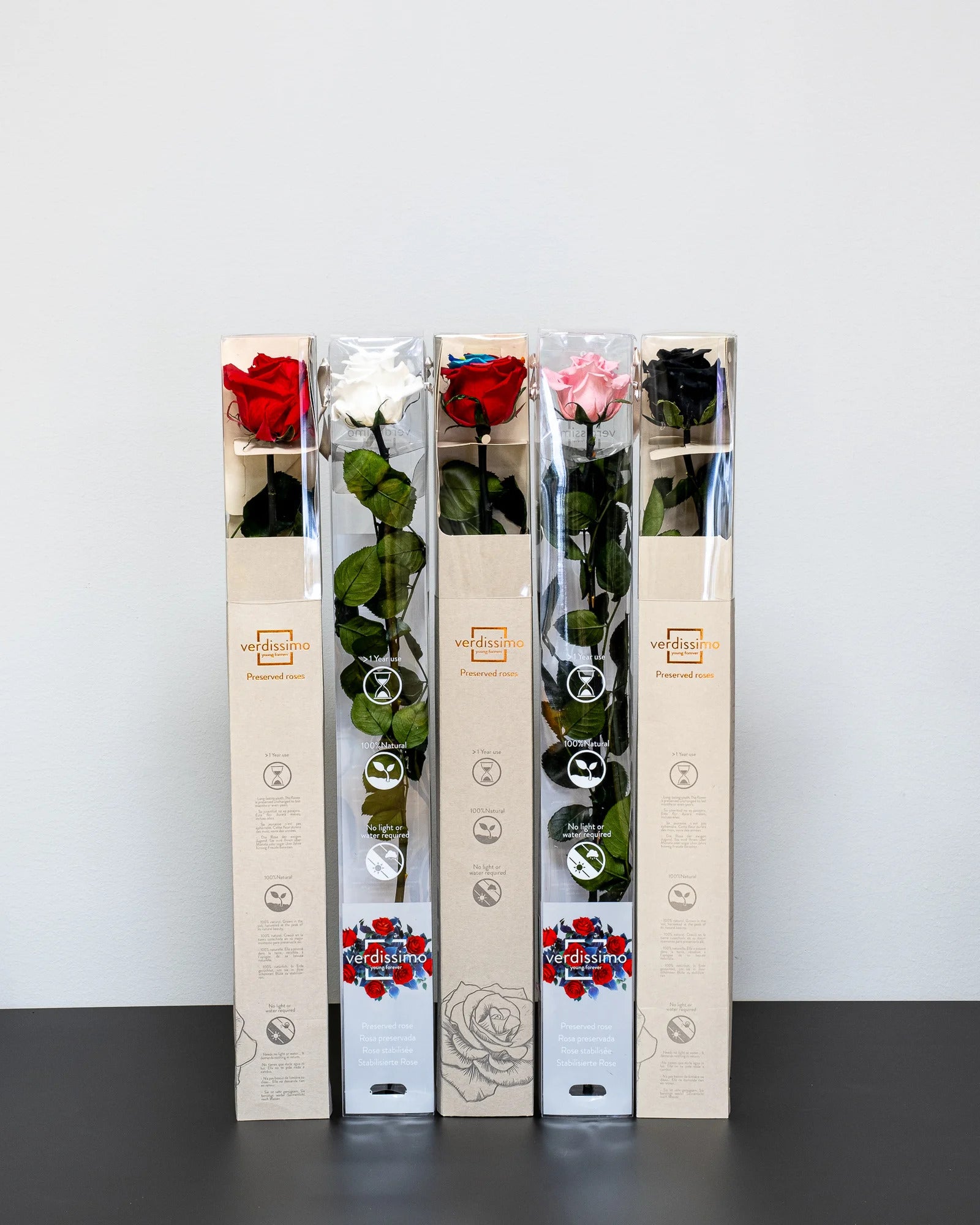 Singel Evighetsros 60 cm - evighetsros från Forever Flora i regnbåge