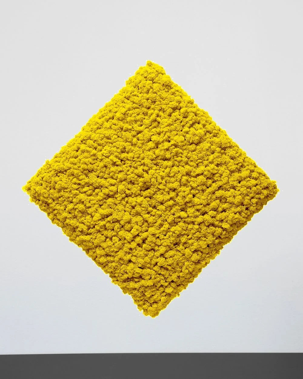 Quadratisches Moospaneel aus echtem Islandmoos in Apfelgrün mit quadratischer Form – 50 × 50 cm