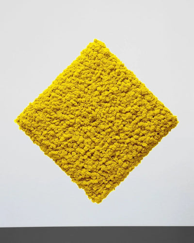 Quadratisches Moospaneel aus echtem Islandmoos in Apfelgrün mit quadratischer Form – 50 × 50 cm